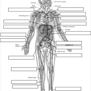 Rheumatoid Varicose Veins - Information On Klippel Trenaunay Syndrome