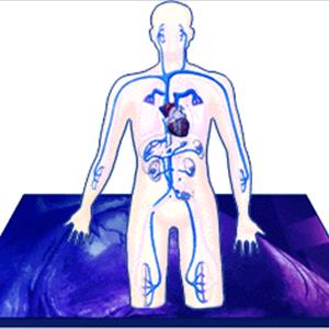  Say Goodbye To Spider And Varicose Veins Now! 